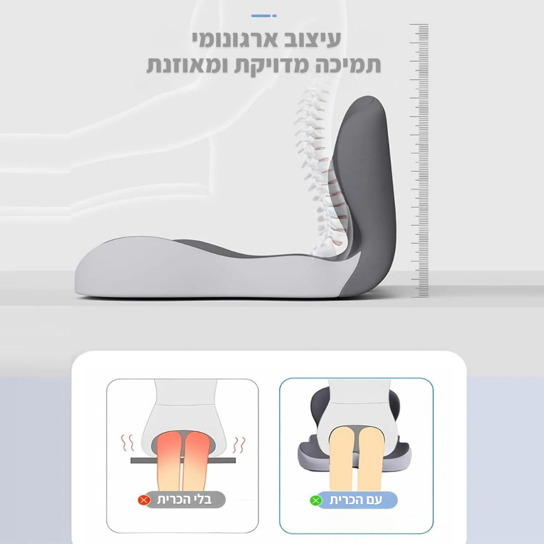 כרית זיכרון אורטופדית לתמיכה בגב - ג'פטה
