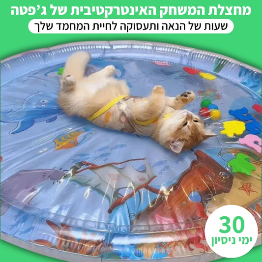 מחצלת המשחק האינטרקטיבית של ג'פטה