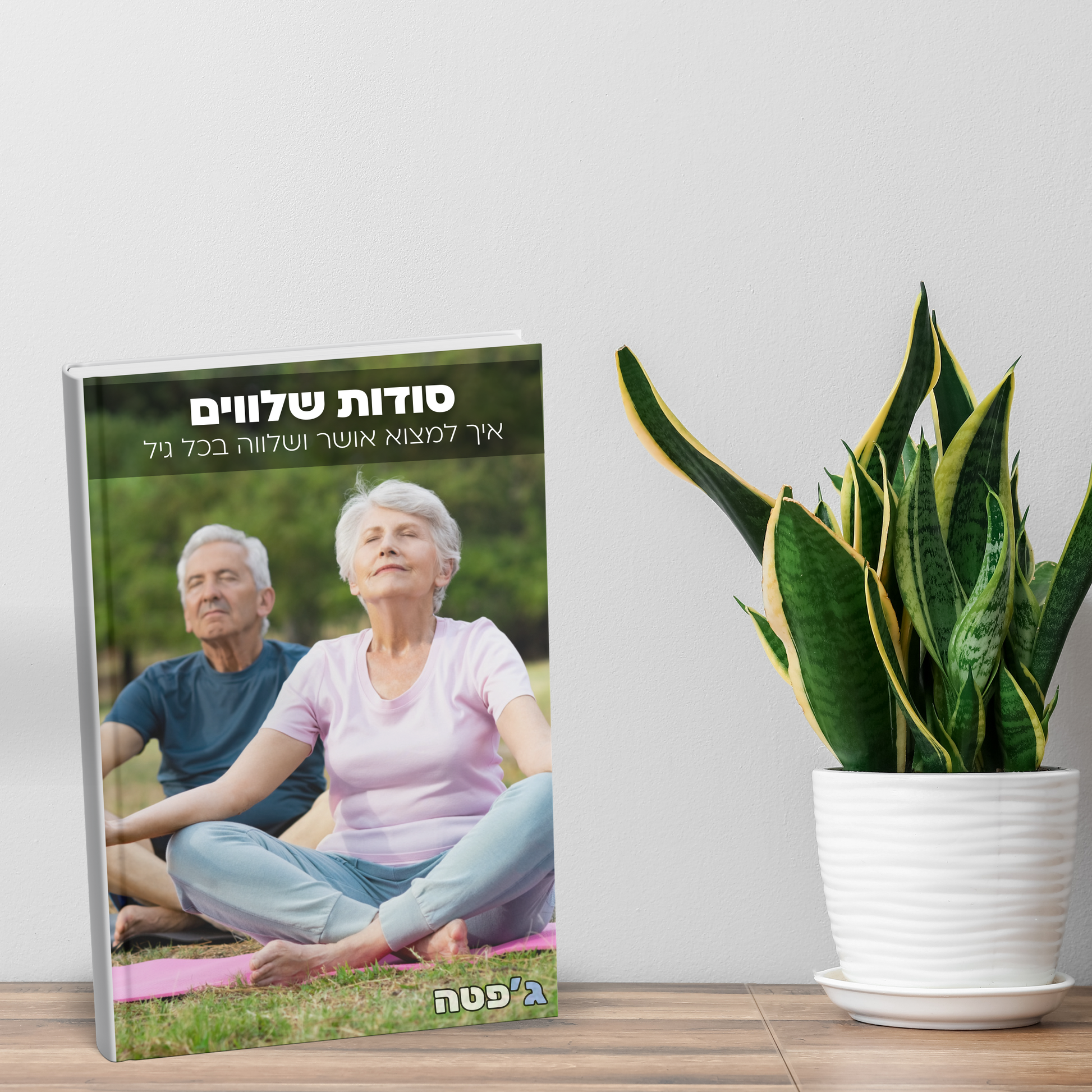 סודות שלווים - ספר דיגיטלי - ג'פטה